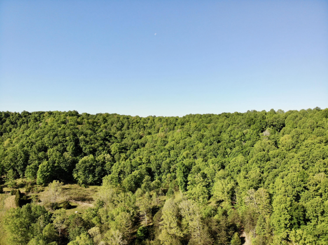 Listing Image 18