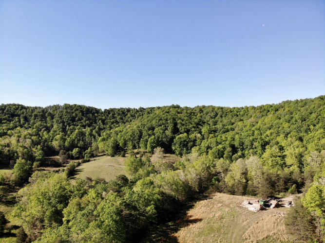 Listing Image 20