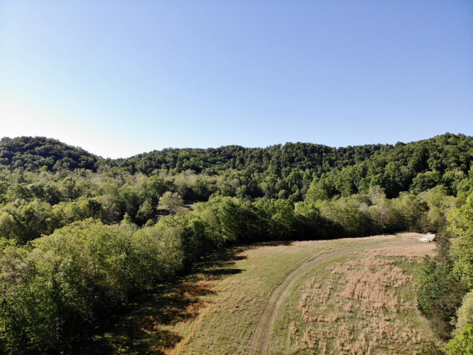 Listing Image 21