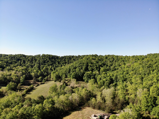 Listing Image 25