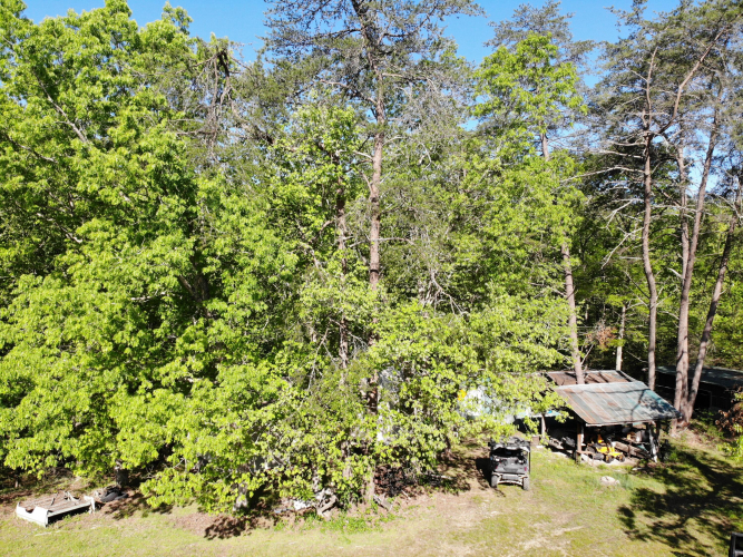 Listing Image 28