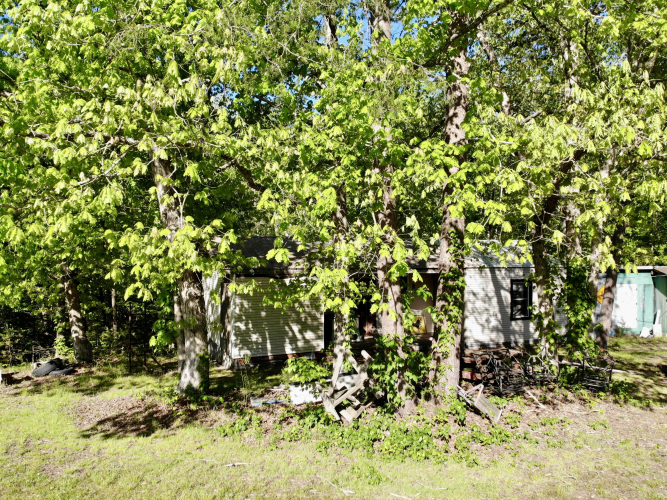 Listing Image 29
