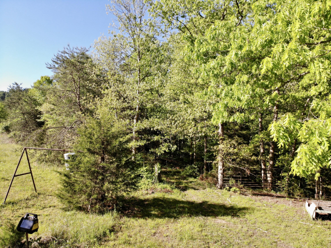 Listing Image 30