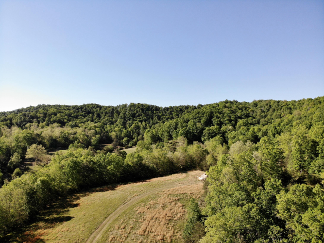Listing Image 31