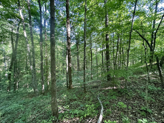 Listing Image 35