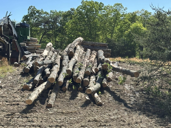 Listing Image 37