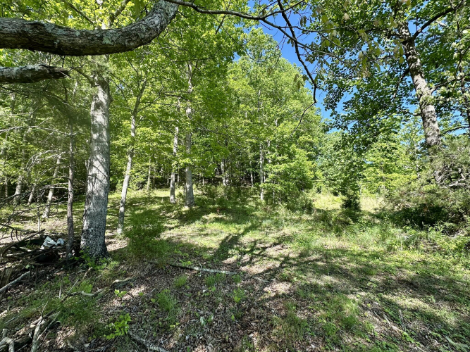 Listing Image 38