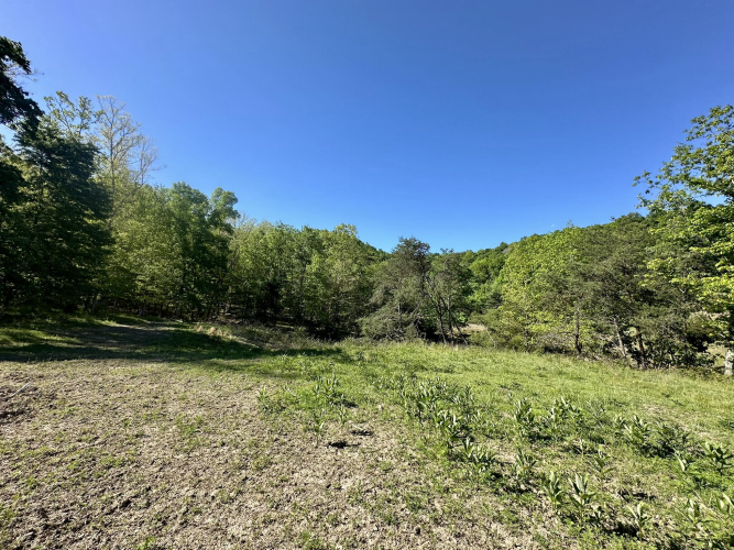 Listing Image 44
