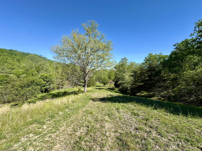 Listing Image 45