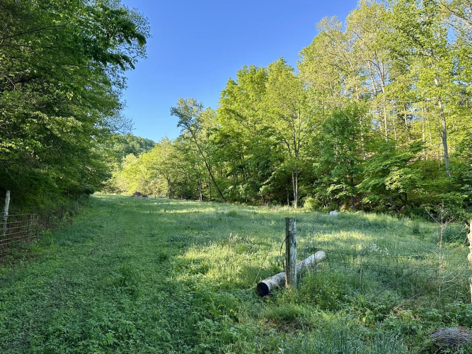 Listing Image 46