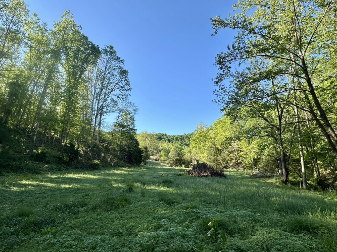 Listing Image 47