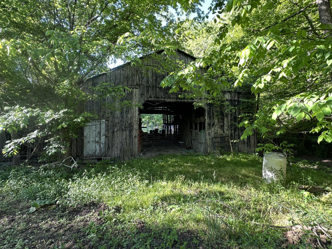 Listing Image 6
