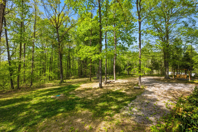 Listing Image 81