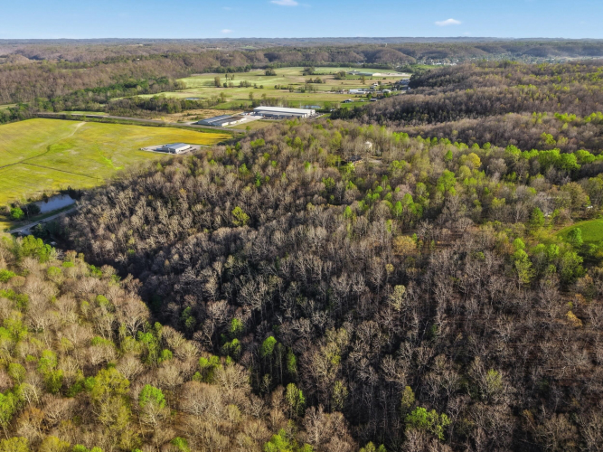 Listing Image 83