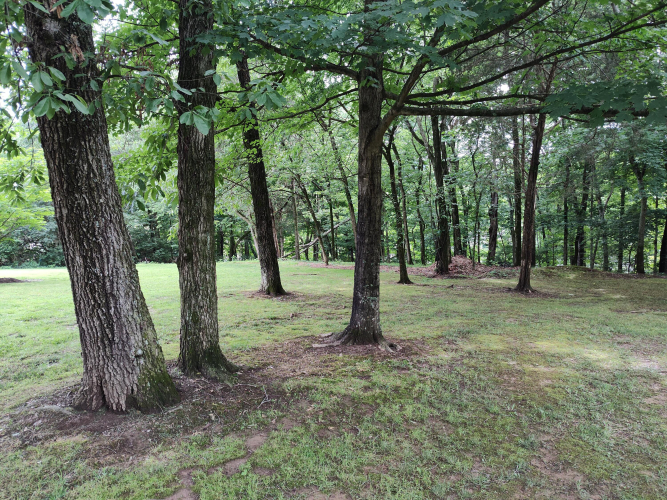 Listing Image 67
