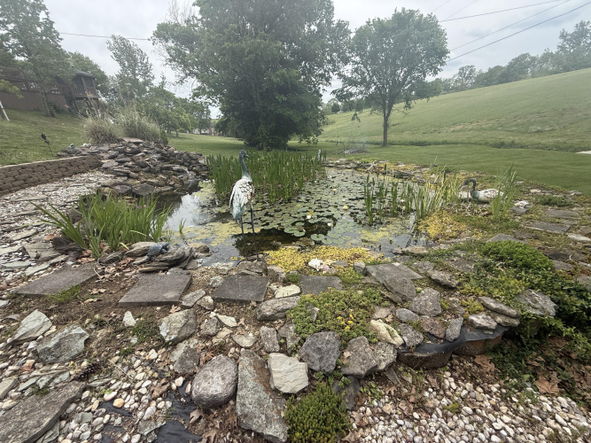 Listing Image 47