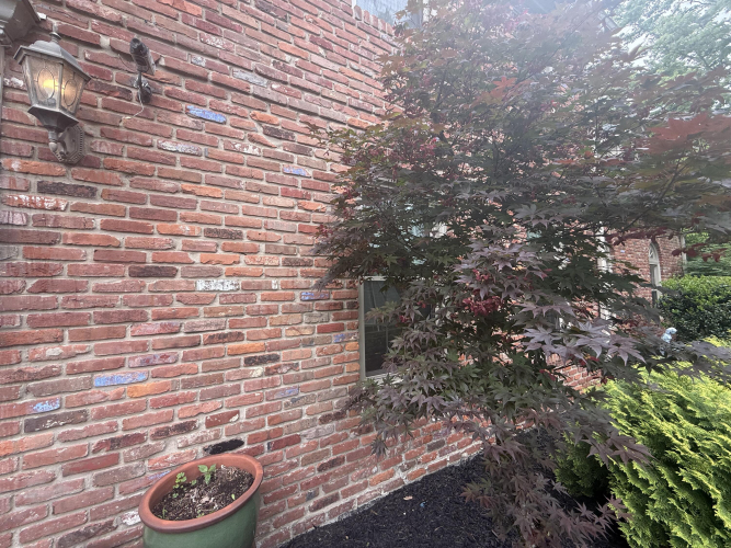 Listing Image 60