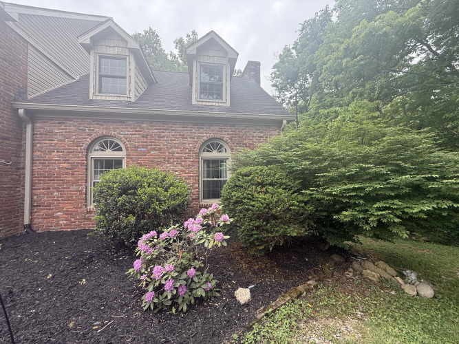 Listing Image 62