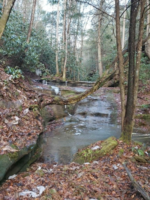 Listing Image 2