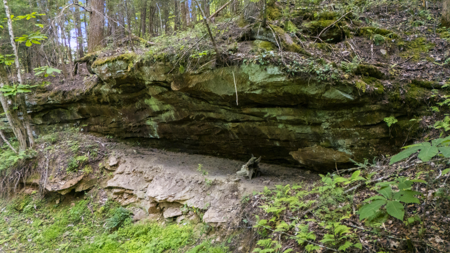 Listing Image 15