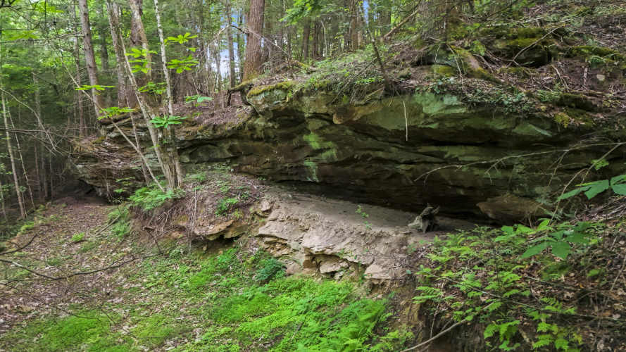 Listing Image 16
