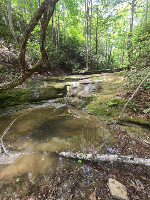 Listing Image 26