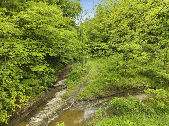 Listing Image 25