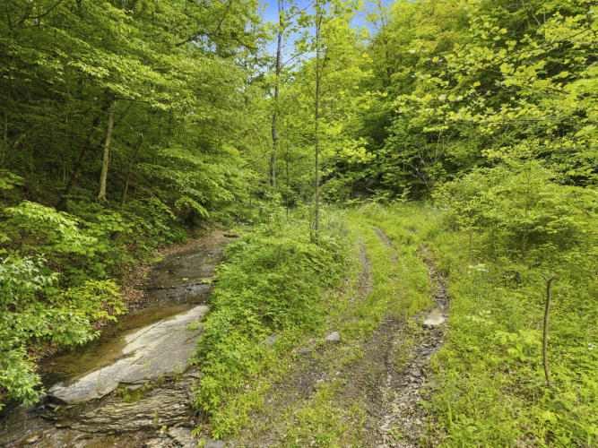 Listing Image 26