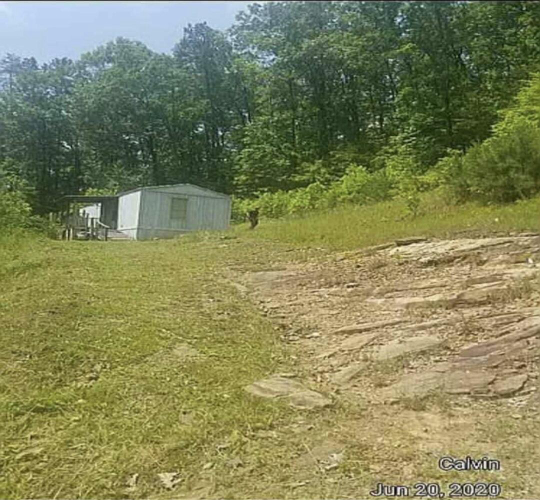 Listing Image 6