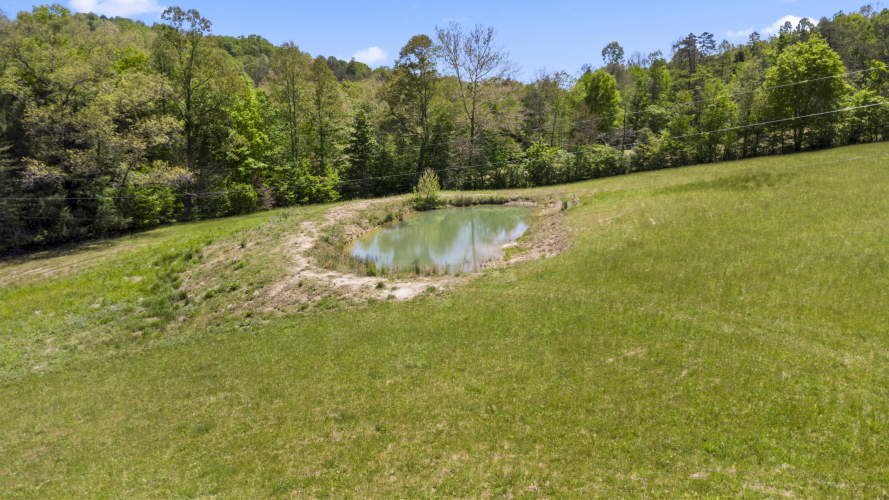 Listing Image 37