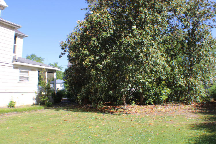 Listing Image 28