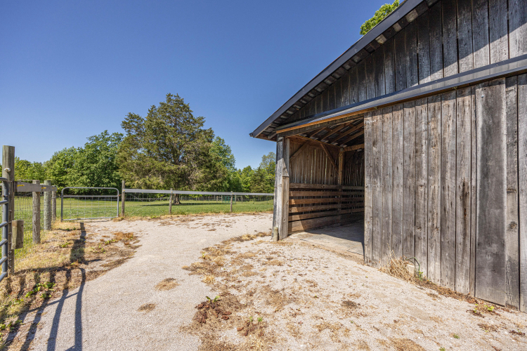 Listing Image 64