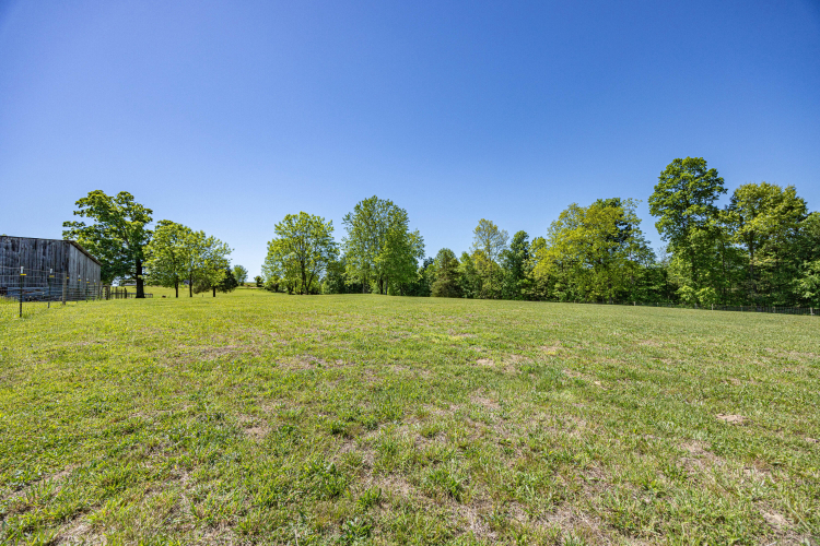 Listing Image 68