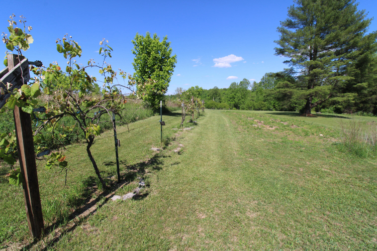 Listing Image 31
