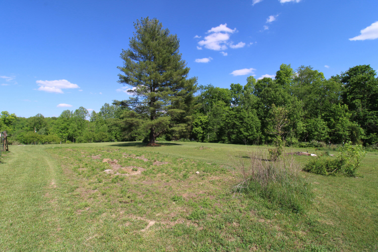 Listing Image 34