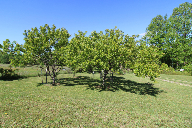 Listing Image 35