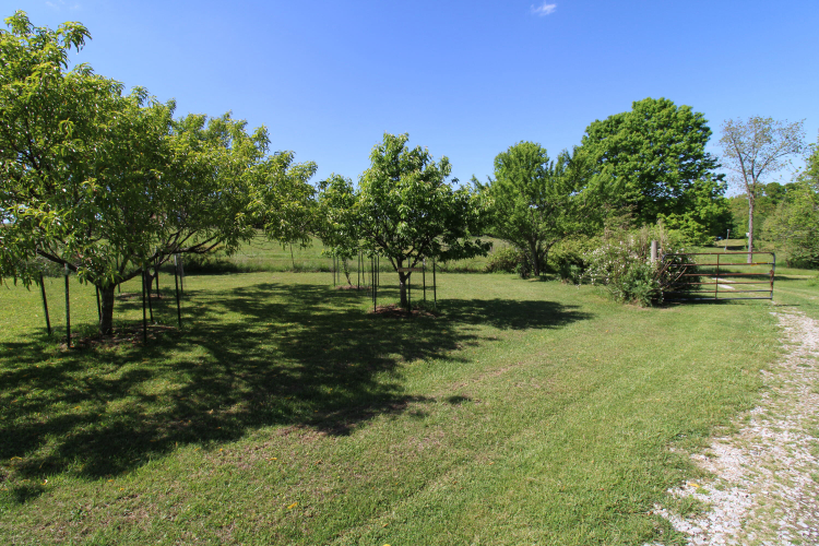 Listing Image 37