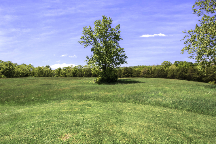 Listing Image 41