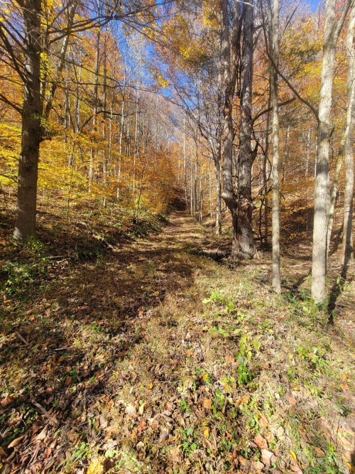 Listing Image 52