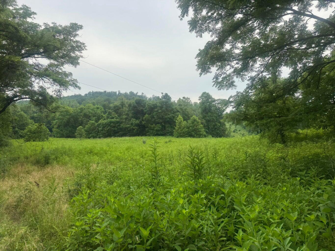 Listing Image 34