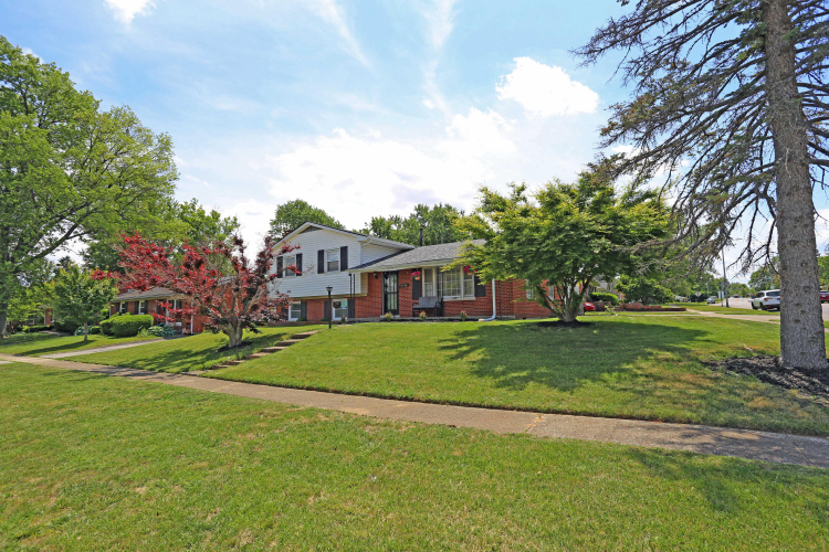 Listing Image 44