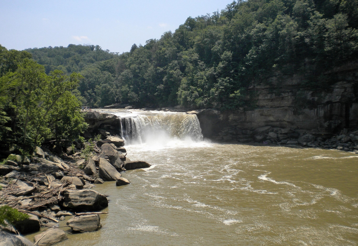 Listing Image 18