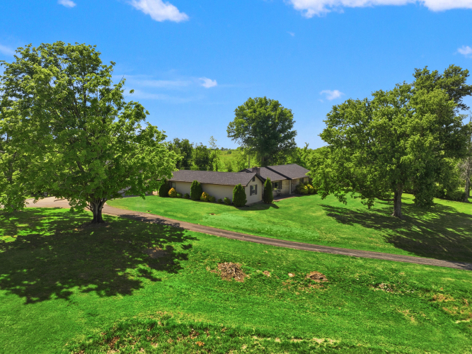 Listing Image 53