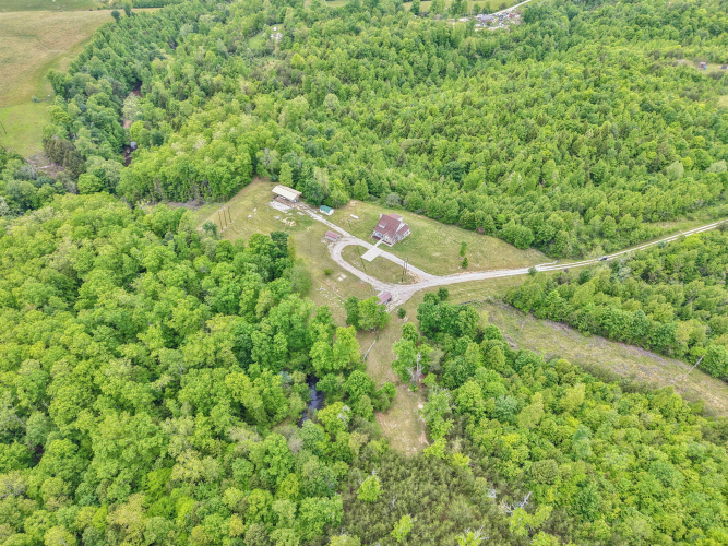 Listing Image 97