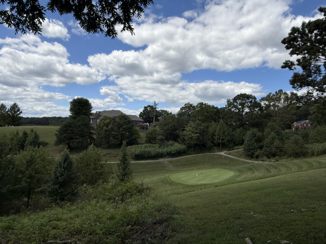 Listing Image 41