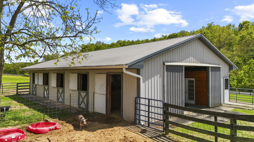 Listing Image 37