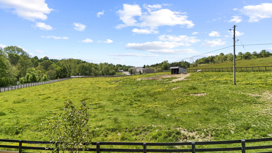 Listing Image 55