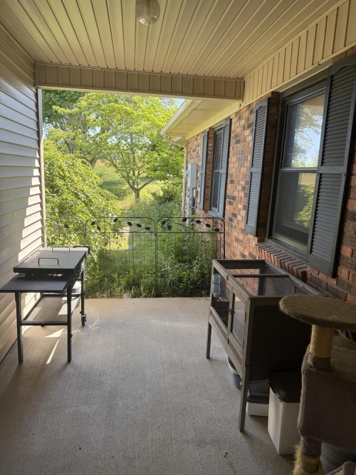 Listing Image 8