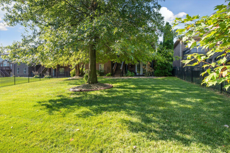 Listing Image 50