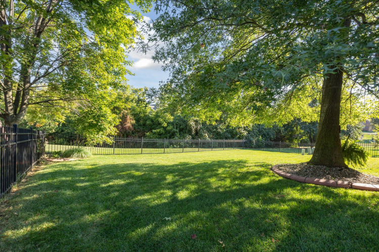 Listing Image 51